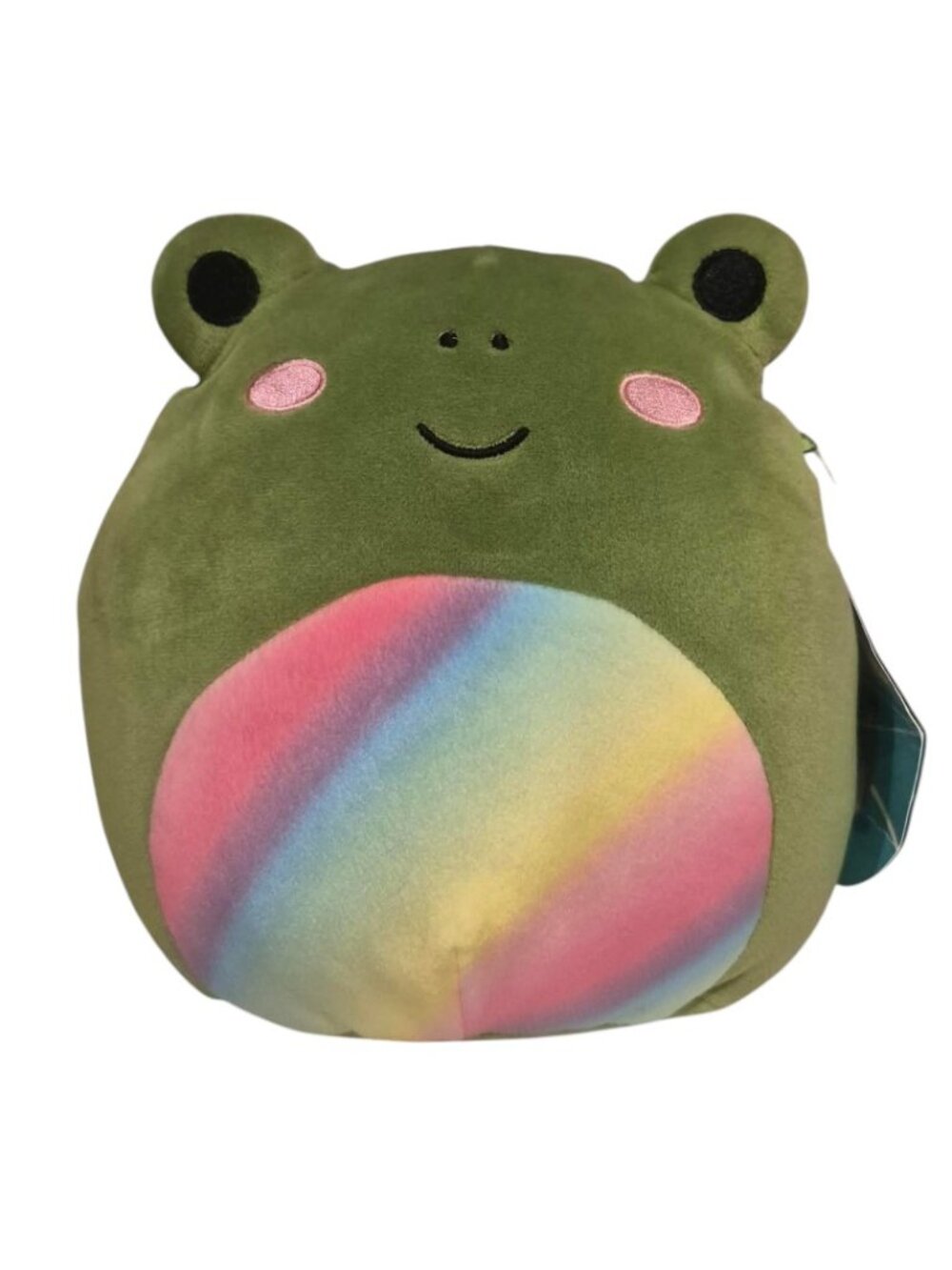 Doxl Squishmallow Frog Plush Rainbow Stuffed Animal NWT